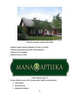 Diplomdarbs 'Finanšu darbības analīze uzņēmumā', 21.