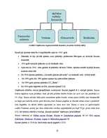 Diplomdarbs 'Finanšu darbības analīze uzņēmumā', 23.
