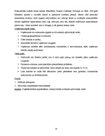 Diplomdarbs 'Finanšu darbības analīze uzņēmumā', 24.