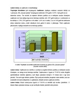 Diplomdarbs 'Finanšu darbības analīze uzņēmumā', 33.