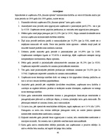 Diplomdarbs 'Finanšu darbības analīze uzņēmumā', 46.