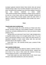 Konspekts 'Ventspils', 4.