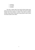 Referāts 'Jauniešu misijas brauciens ‘’IMPACT’’', 5.