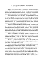 Referāts 'Jauniešu misijas brauciens ‘’IMPACT’’', 6.