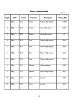 Referāts 'Jauniešu misijas brauciens ‘’IMPACT’’', 10.