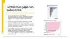Prezentācija 'Japāna', 7.