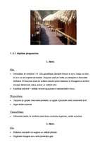 Konspekts 'Tūrisma maršruts uz Brazīliju', 8.