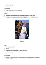 Konspekts 'Tūrisma maršruts uz Brazīliju', 9.