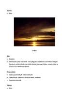 Konspekts 'Tūrisma maršruts uz Brazīliju', 10.