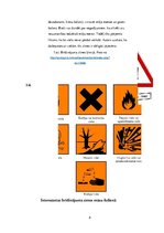 Referāts 'Brīdinājuma zīmes', 8.