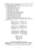 Referāts 'Traktori un tiem piekabināmās būvmašīnas', 19.