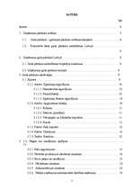 Referāts 'Gada pārskatu sagatavošanas un sastādīšanas kārtība', 2.