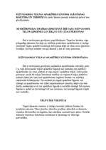 Referāts 'Dzīvojamās telpas īre', 6.