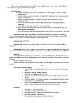 Konspekts 'G.Repšes stāsta "Gadsimta nakts" analīze', 2.