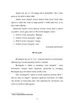 Referāts 'Sitaminstrumenti', 8.