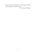 Referāts 'Sitaminstrumenti', 16.