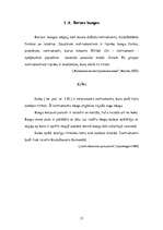 Referāts 'Sitaminstrumenti', 17.