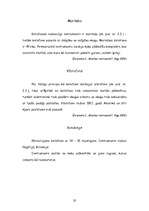 Referāts 'Sitaminstrumenti', 20.