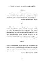 Referāts 'Sitaminstrumenti', 22.