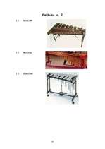 Referāts 'Sitaminstrumenti', 35.