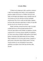 Konspekts 'H.J.Cilmers "Darvina maldi"', 6.