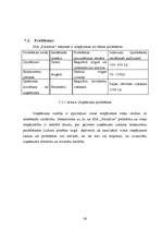 Biznesa plāns 'Biznesa plāns skaistumkopšanas salonam', 24.