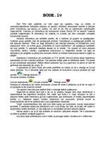 Eseja 'Interneta lapas bode.lv apraksts', 1.