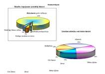 Konspekts 'Pacienta izglītošana', 15.