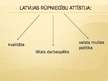 Prezentācija 'Latvijas sociāli ekonomiskā attīstība 20.gadsimta 20.-30.gados', 16.