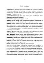 Konspekts 'Pārtikas piedevas', 6.