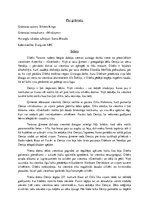 Referāts 'Stīvens Kings "Mirdzums"', 1.