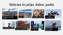 Prezentācija 'Dabas parks "Kamčatkas vulkāni"', 11.