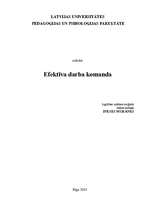 Referāts 'Efektīva darba komanda', 1.