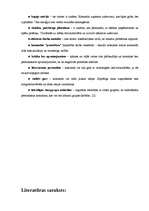 Referāts 'Efektīva darba komanda', 6.