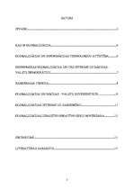 Referāts 'Globalizācijas process un perspektīvā nācijvalstu nākotne', 2.