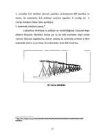 Referāts 'Aviācijas navigācijas līdzekļu stāvoklis', 22.