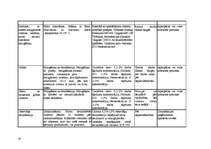 Prakses atskaite 'SIA "Forevers"', 30.