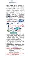 Konspekts 'Ietekmes uz vidi novērtējums', 28.