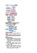 Konspekts 'Ietekmes uz vidi novērtējums', 31.