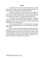 Referāts 'Paražu tiesību institūti pēc folkloras materiāliem', 3.