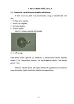 Referāts 'Augstfrekvences bezelektrodu lampu kapilāra ietekme uz lampu starojuma spektru', 17.