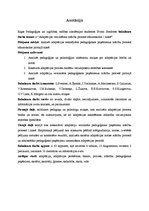 Diplomdarbs 'Adaptācijas veicināšana mācību procesā sākumskolas 1.klasē', 77.