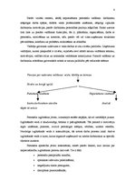 Referāts 'Personālvadības organizatoriskās metodes', 8.
