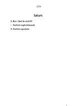 Konspekts 'Stafete "Mūsdienu krikets"', 2.