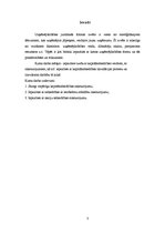 Referāts 'Kapitālsabiedrības izbeigšanas pamats, tā veidi, raksturojums', 3.