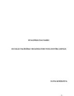 Referāts 'Sociālās palīdzības organizatoru noslogotība Liepājā', 1.