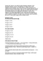 Konspekts 'TV ziņu sižeta plāns', 4.