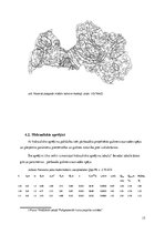 Referāts 'Meža meliorācija', 17.