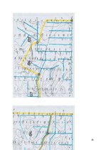 Referāts 'Meža meliorācija', 30.