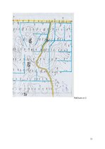 Referāts 'Meža meliorācija', 31.